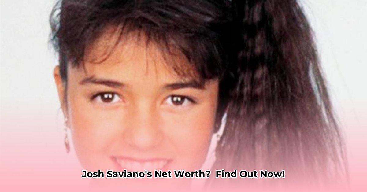 josh-saviano-net-worth